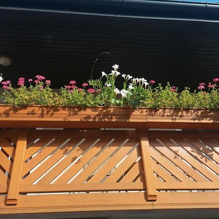 Apartmaji Valter Srpenica Exterior photo
